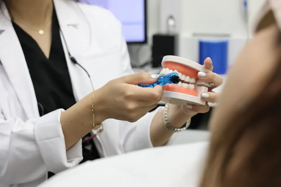 A dentist shows a patient how teeth move, using a dental model